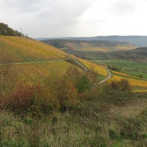 Saarweinberge vor Hunsrückhöhen