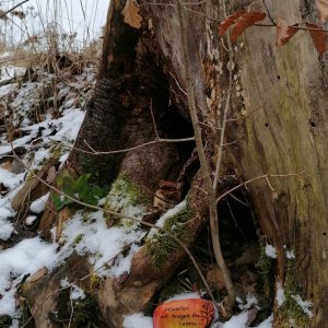 Stein mit Werbung