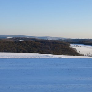 Auf der Höhe