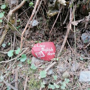 Bemalter Stein im Kotzgraben