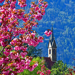 Meran, Gilfpromenade