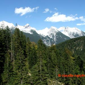 alpenpark karwendel