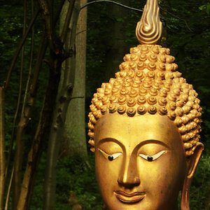 Thailändischer Buddha, das Antlitz im Schein der morgendlichen Sonne