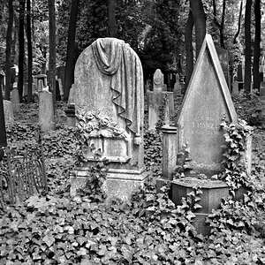 Auf dem Neuen Jüdischen Friedhof von Prag