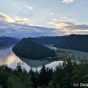 Medium 'Schlögener Donauschlinge' in der Kategorie 'Flüsse, Seen und Gewässer'
