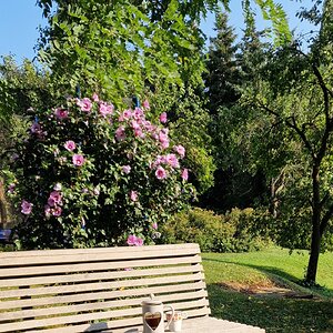 Kaffee in Olmod, Ungarn