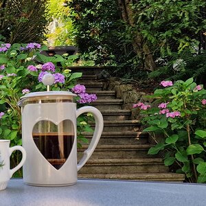 Kaffee in St. Peter, Waldburg