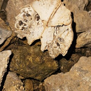 Bergwerk Knappenkuchl Stollen