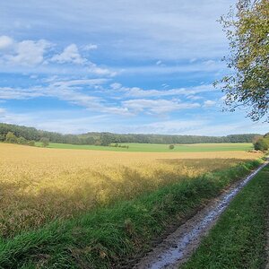 Siegenfeld