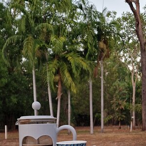 Morgenkaffe am Campingplatz in Batchelor, Northern Territory