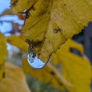 Medium 'Wassertropfen' in der Kategorie 'Wasser pur'