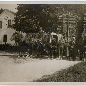 Pferdefuhrwerke mit Holz um 1926