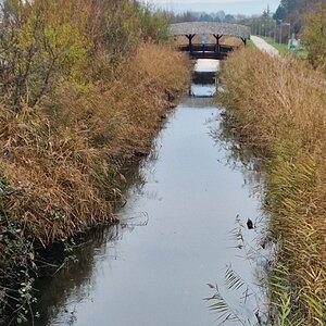 Wiener Neustädter Kanal bei Leobersdorf