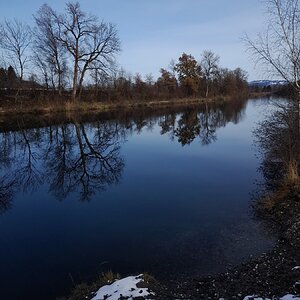 Altach Alter Rhein - Blick Richtung Schweiz