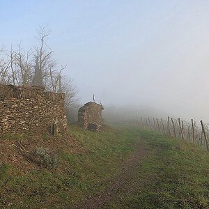 Alte Weinberg-Bruchsteinmauer aus Schiefer