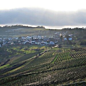 Fellerich mit Weinberg im schneelosen Winter