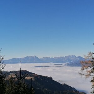 Medium 'Herbstlicher Hochnebel' in der Kategorie 'Steiermark'