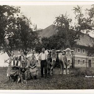 Bauernfamilie Porträt Oberösterreich