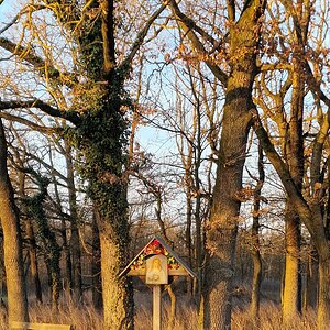 Medium 'Wegkreuz in Ernsthofen' in der Kategorie 'Wegkreuze'