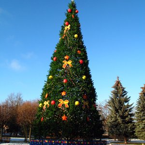 Neujahrbaum