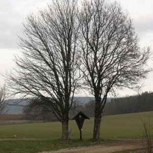 Rotes Kreuz bei Frauenhofen