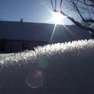 Schneekristalle im Gegenlicht