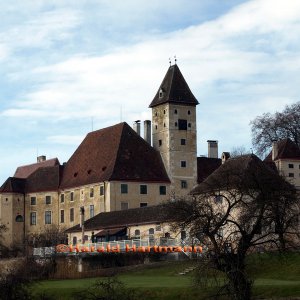 Schloss Goldegg