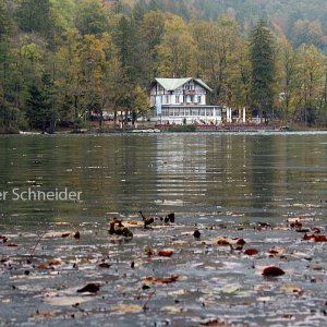 Seewirt am Thumsee