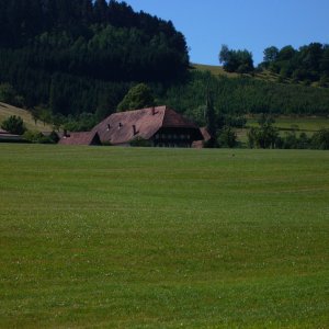 Mattenbauernhof_in_Welschensteinach_16_07_06