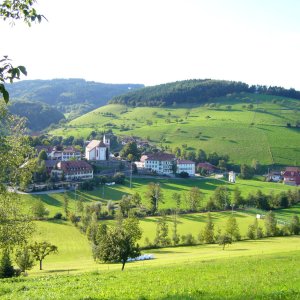 Welschensteinach Dorf