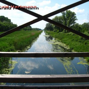 Die Brücke von Andau 2/3