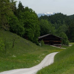 Alpbacher Einhof