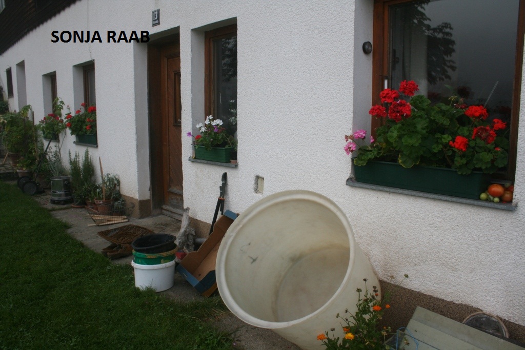 Äpfel klauben am Bergbauernhof in Opponitz