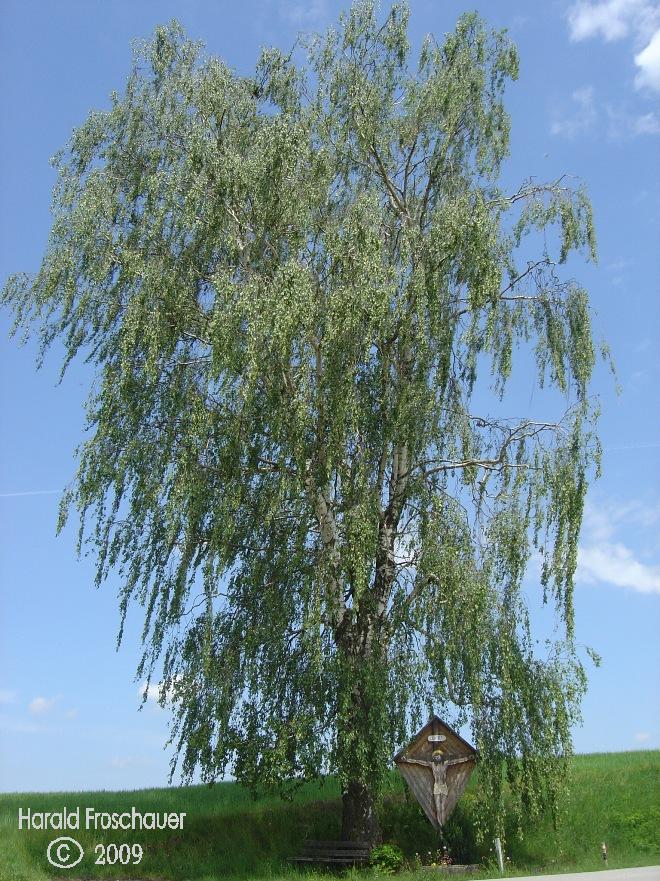 Österreich/Niederösterreich/Bezirk Amstetten