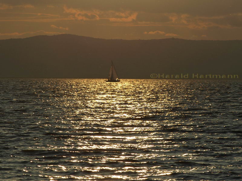 Abend am Neusiedlersee 4/5