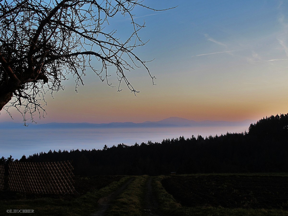 Abendsonne auf dem Ötscher