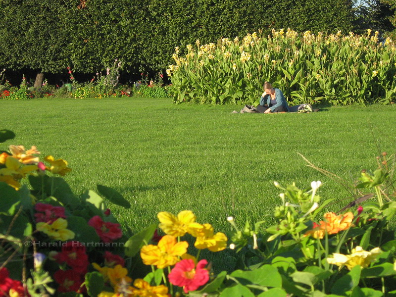 Abendsonne im Augarten