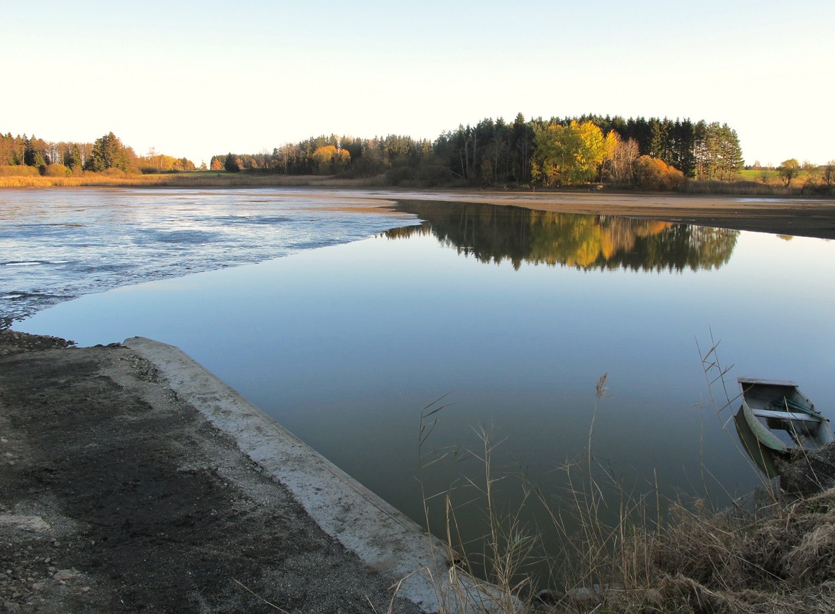 Abgefischt - Zieringserteich bei Ottenschlag