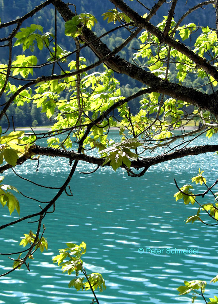 Achensee