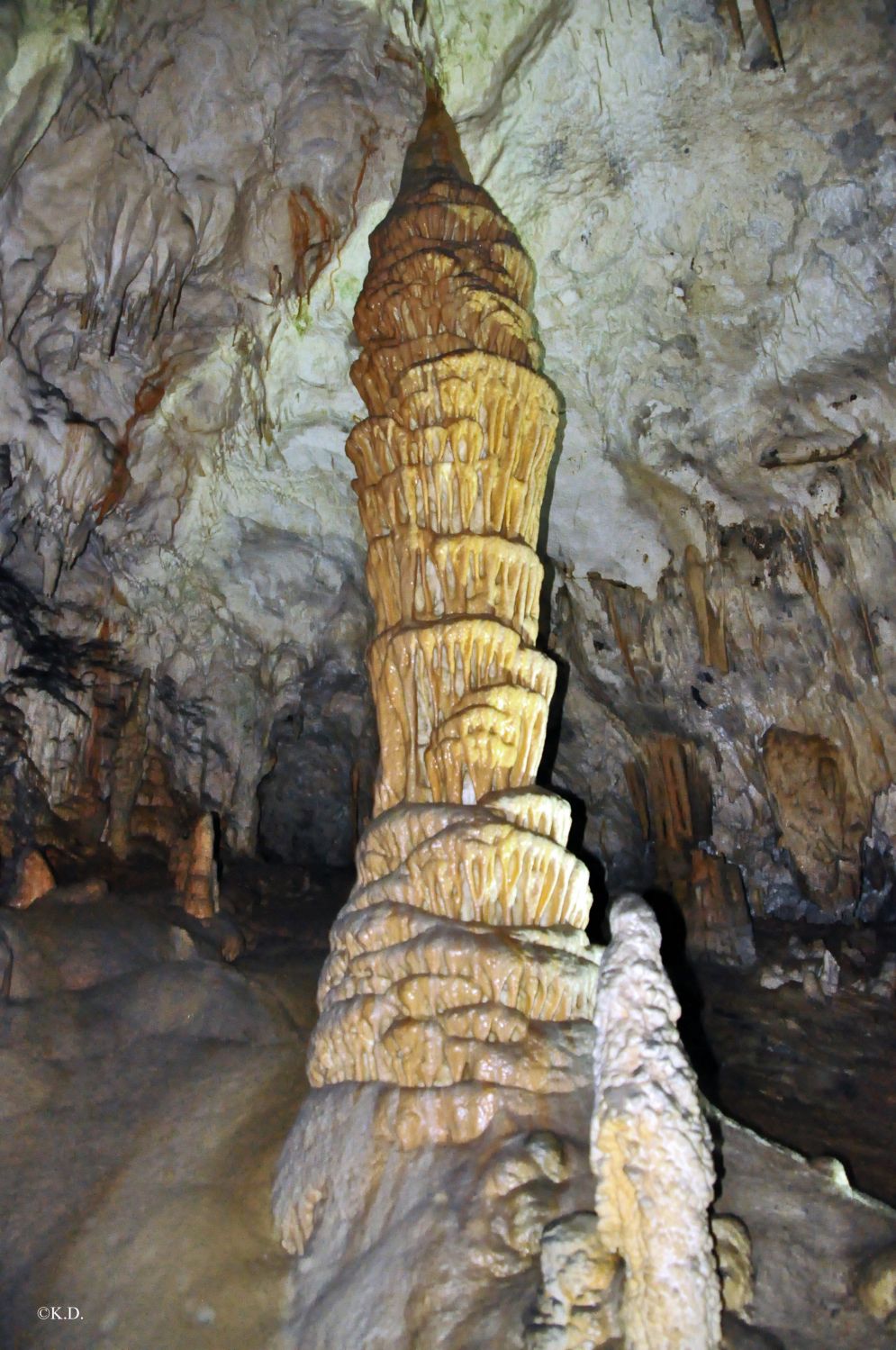 Adelsberger Grotte - Postojnska Jama (Slowenien)