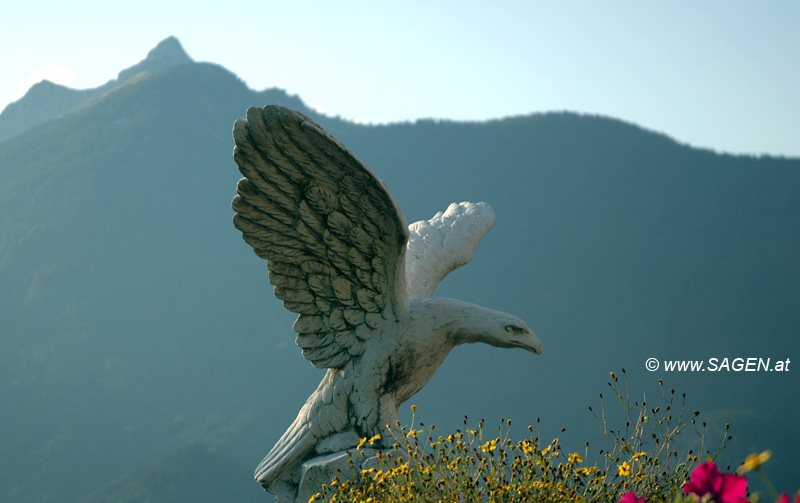 Adler im Karwendelgebirge