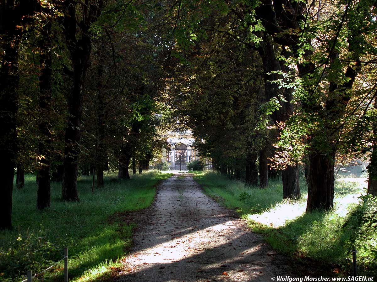 Allee Neu-Wartenburg