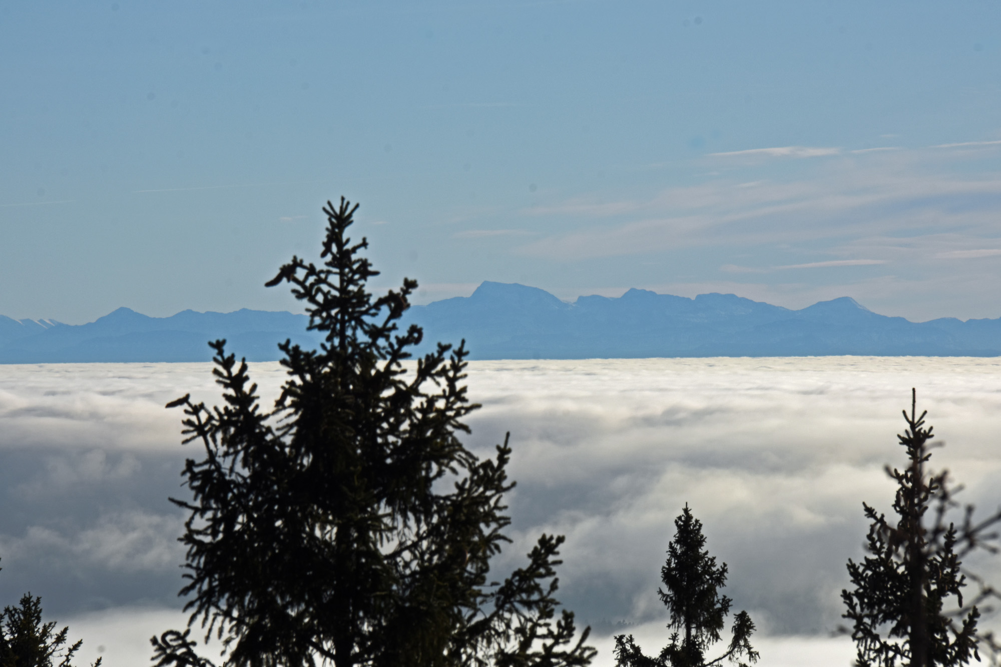 Alpenblick