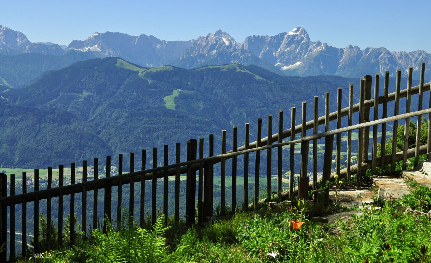 Alpengarten auf dem Dobratsch (Villach)