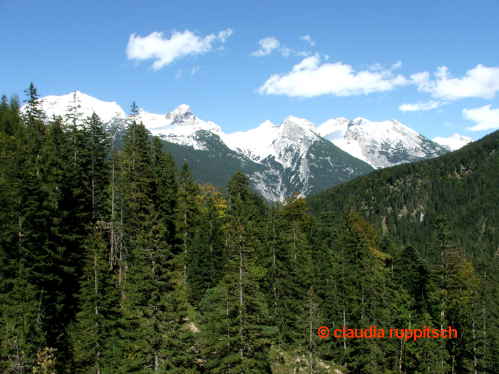 alpenpark karwendel