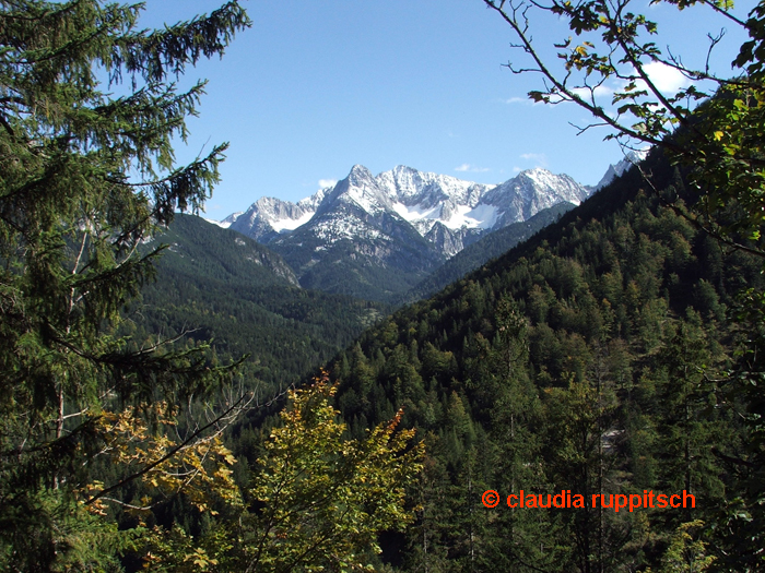 alpenpark karwendel