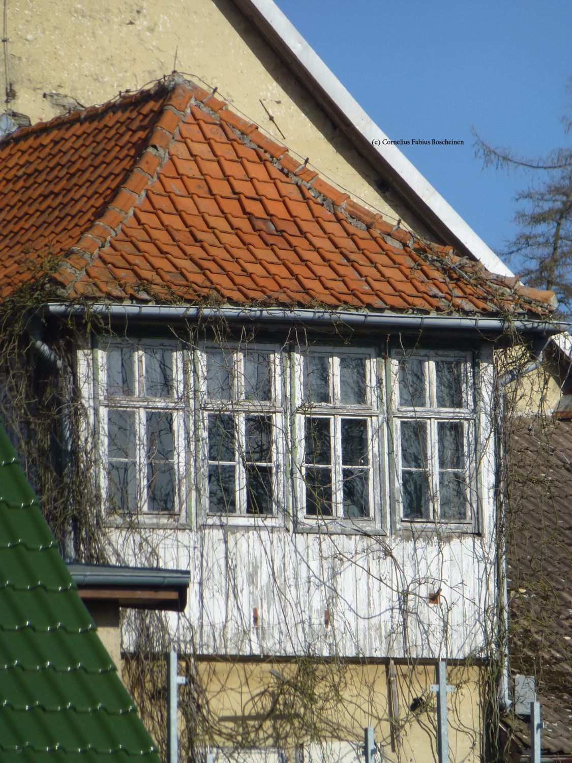 alte Fensterfront eines Erkers in Güntersberge im Harz.