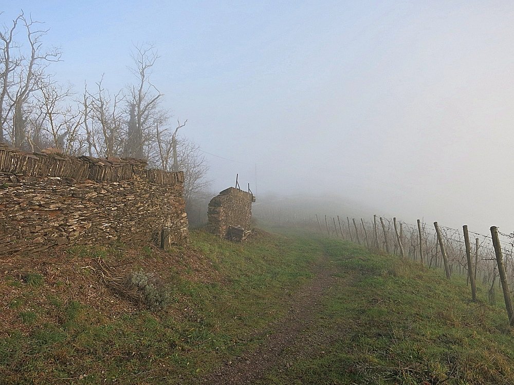 Alte Weinberg-Bruchsteinmauer aus Schiefer