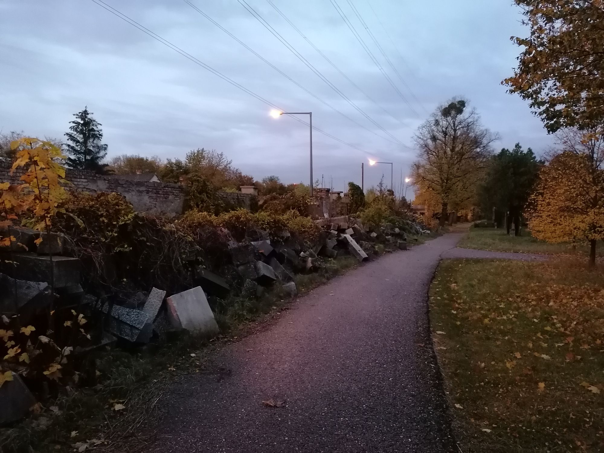 Alter Jüdischer Friedhof - Trümmerfeld