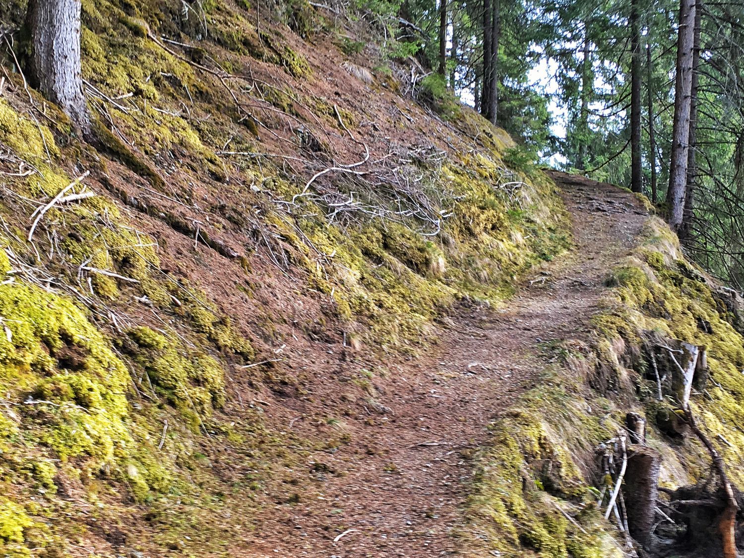 Alter Weg von Gries i.S. nach St. Quirin